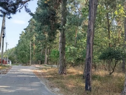 Земельна ділянка с.Довжик напроти лісу Довжик