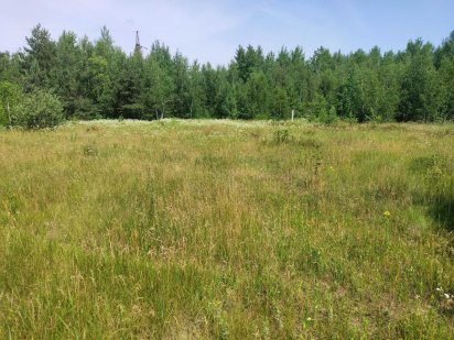 Продам  15-сот під забудову село.Сінгури р-н новобудов Сингуры