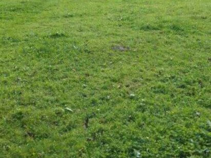 Продам земельну ділянку 16 соток  в селі Сінгури Сингури