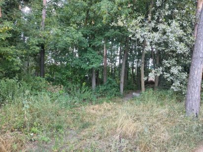 Продам 9,18-сот для ведення садівництва Новогуйвинськ Новогуйвинское