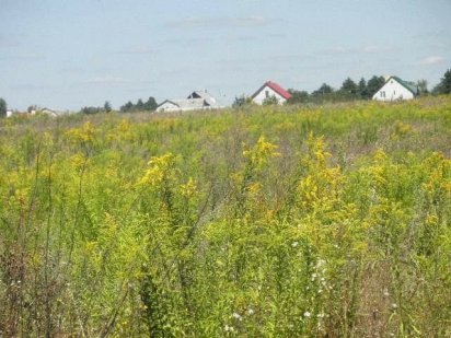 Продам земельну ділянку 10 сот. с. Левків  Житомирська область Левков