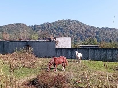 Продамо земельну ділянку Свалява