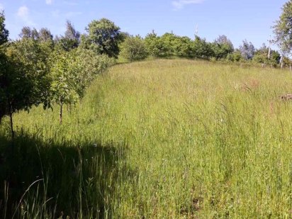 Продається земельна ділянка Свалява