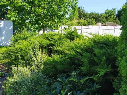 Продам земельну ділянку в Сваляві