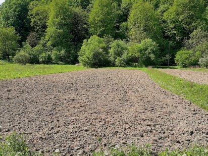 Земельна ділянка м. Свалява Свалява