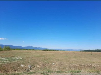 Продам землю Тячів