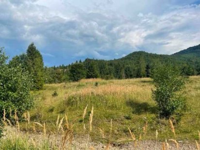 Земельна ділянка,  площею 26,7366 га. Знижка на аукціоні 50%