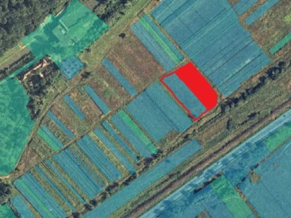 Продам ділянку 25 соток в с. Оноківці Оноковцы