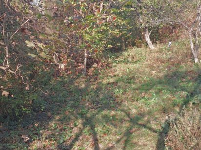 Продам дачну ділянку в селі Оноківці Оноківці