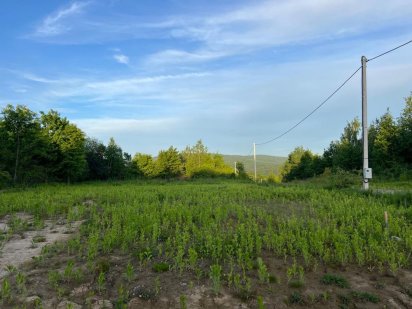 Ділянка біля лісу Ужгород (Дубки) 7км до центру Оноківці