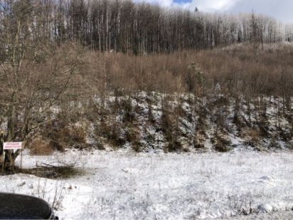 Ділянка біля с. Буковець/Пашківці Воловеччина Оноківці