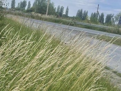 Продається земельна ділянка біля головної траси