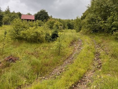 Ділянка 7 сотих у горах Закарпаття  га виізді з Міжгірʼя Міжгір'я
