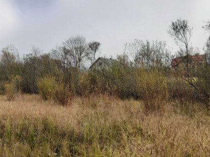 Продам земельну ділянку в Міжгір’ї 10 соток