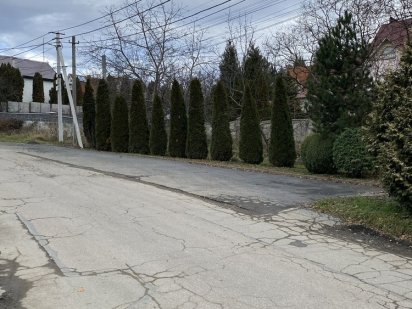 Продам ділянку на вулиці Північна 26 (8 соток) Сторожниця