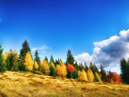 Продаються ділянки з неймовірним краєвидом біля озера Синевир