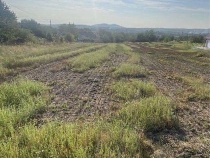 Продаю ділянку не дорого Сторожница