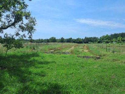 Продам 35 сот в Сторожниці на вулиці Шевченка Сторожниця