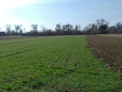 Земельна ділянка Сторожница