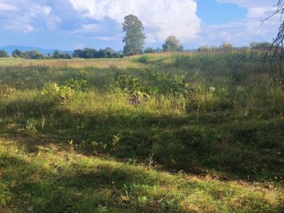 Продам земельну ділянку Иршава