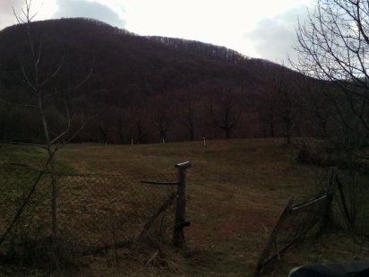 Участок біля лісу Велятино