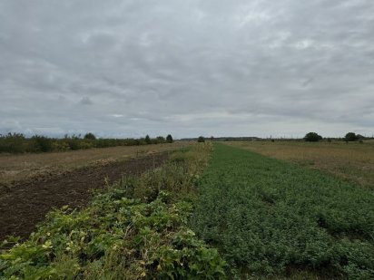 Продається земля в Чонкаші