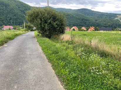 Земельна ділянка під будівництво в с. Солочин Полянської ОТГ Солочин