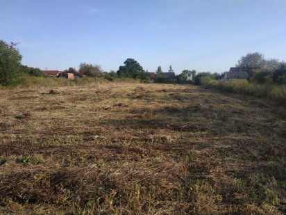 Земельна ділянка, 40 сот, з документами на будинок, газ електрика Соломоново