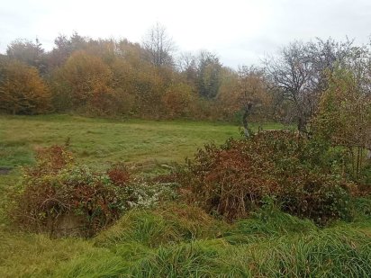 Ціну знижено Продаєм земельну ділянку Солочин Закарпатської Солочин