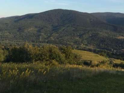 Продається земельна ділянка в с. Солочин 25 соток Солочин