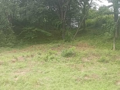 Ціну знижено! Продаємо ділянку у Квітки Полонини Солочин Закарпатськ Солочин