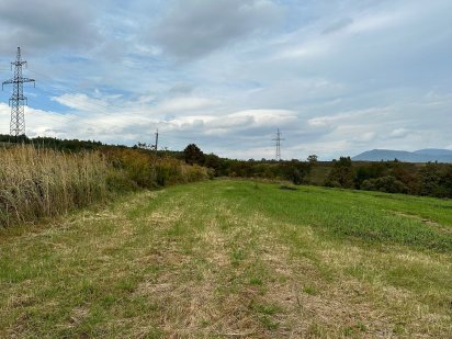 Земельна ділянка Солочин