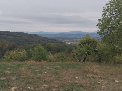 земля 40 соток Шаян Шаян