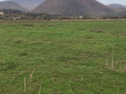 Земельна ділянка