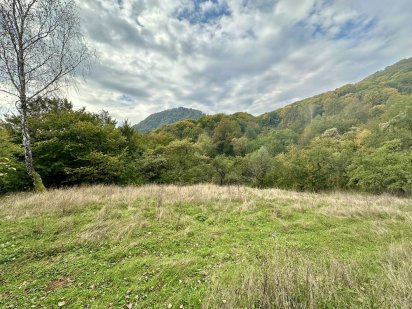 Земельна ділянка комерційного призначення у с. Шаян Шаян