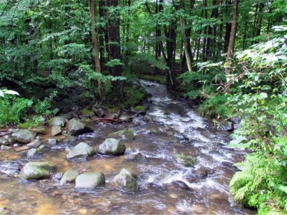 Земельна ділянка в безпечному Закарпатті Чинадиево