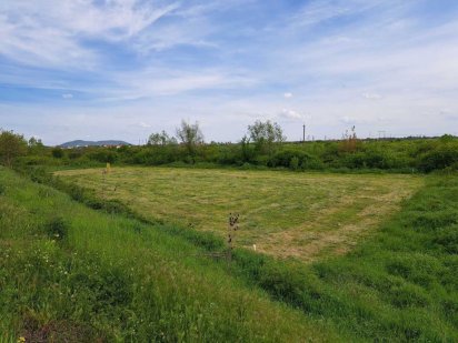 Продається ділянка Кінчиш навпроти терміналу Нової Пошти Кинчеш