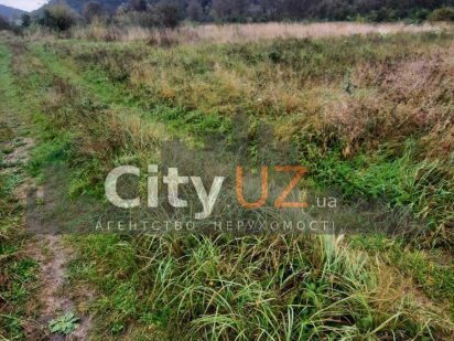 Продається земельна ділянка Невицкое