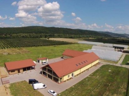 Продам земельну ділянку Невицкое