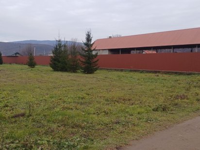 Земельна ділянка Невицкое