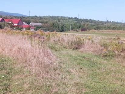 Продам земельну ділянку Голубине Закарпатської