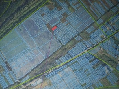 Продам земельну ділянку Невицкое