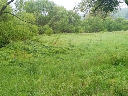 Продамо земельну ділянку село Голубине