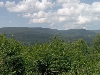 Ціну знижено. Продаємо ділянку в горах Карпат Голубине Вілла Квітка