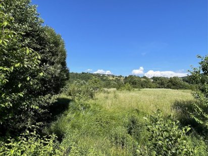 Земельна ділянка Солочин ( Кришталеве джерело ) Голубине