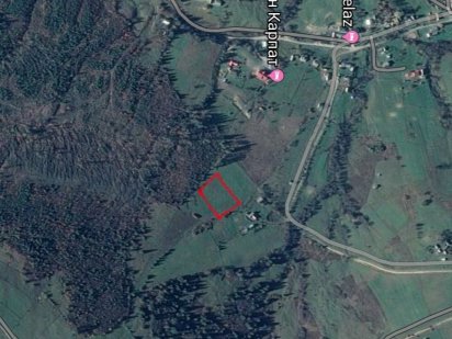 Продам земельну ділянку 12 км від Буковелю Лазещина