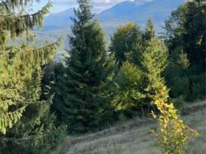 Земельна ділянка село Ясіня Лазещина