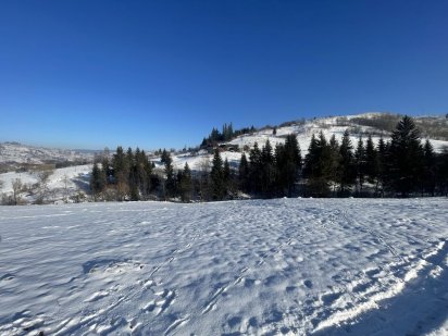 Земельна ділянка в селищі Ясіня Лазещина