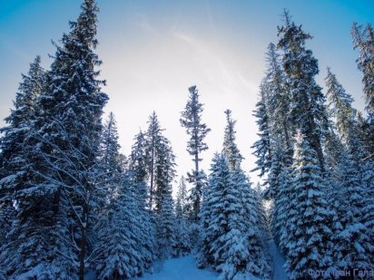 Земля в Закарпатті біля озера "Синевир" Синевирская Поляна