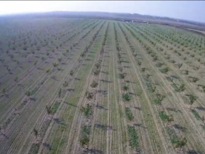 Земельна ділянка 3,7 га Баранинцы